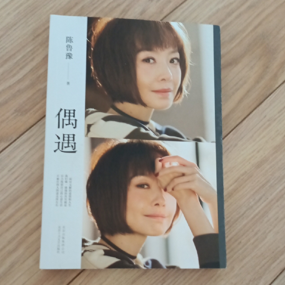 Serendipity or Chance Encounter by Chen Qizhen. 陳綺貞